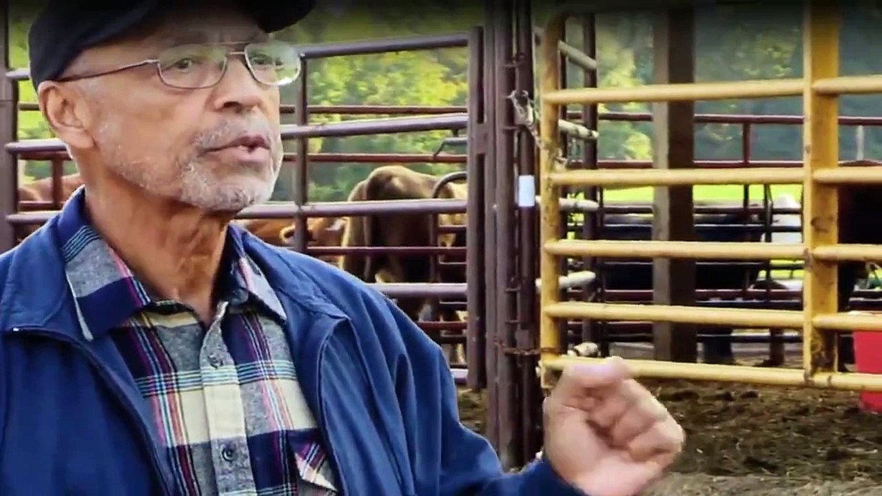 Die Monster-Jäger - Bestien auf der Spur Staffel 4 Folge 6 HD Deutsch