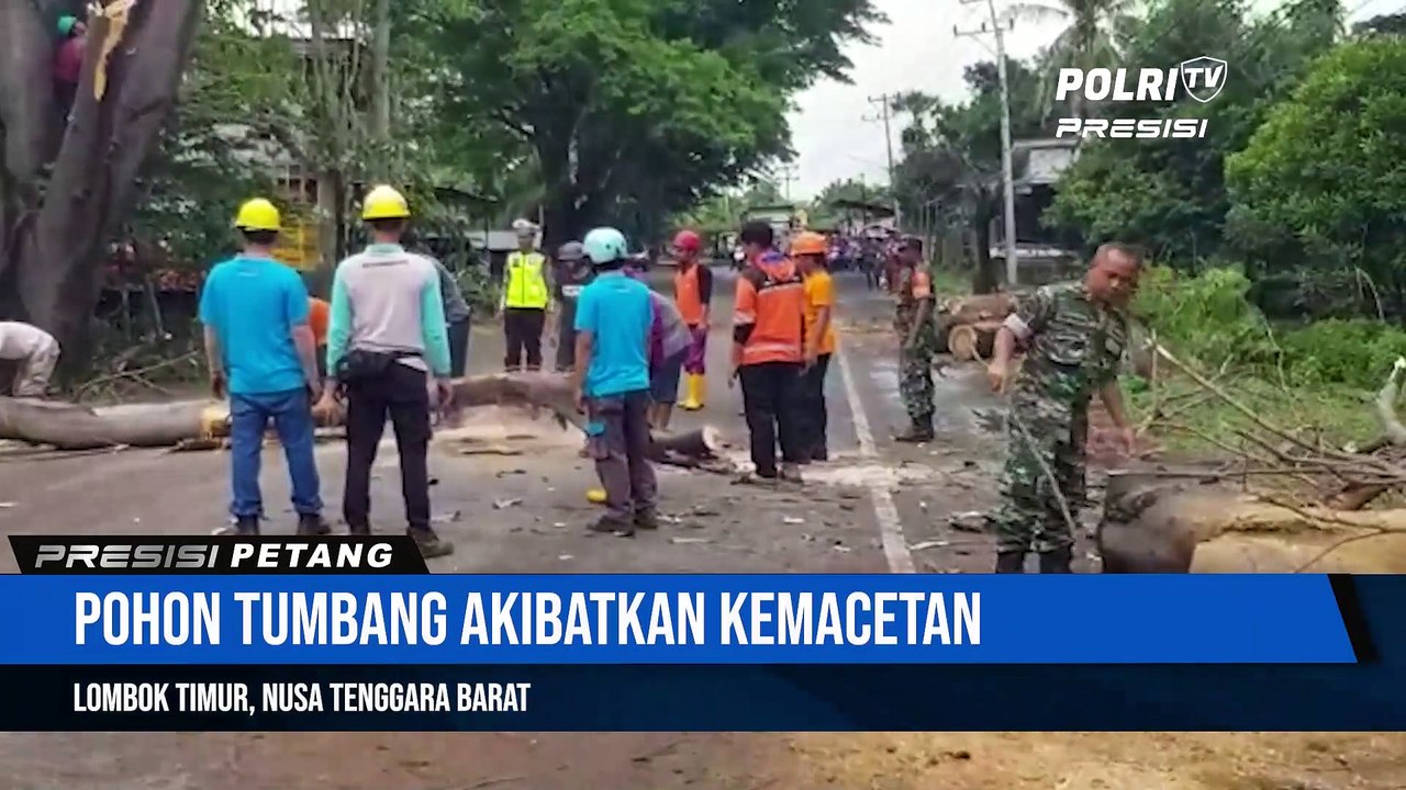 Sinergitas Polri & TNI, Polsek Pringgabaya Polres Lombok Timur, Bersihkan Pohon Tumbang