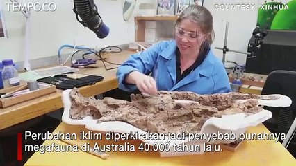 Terungkap, Ini Penyebab Punahnya Binatang Purba 40 Ribu Tahun Lalu