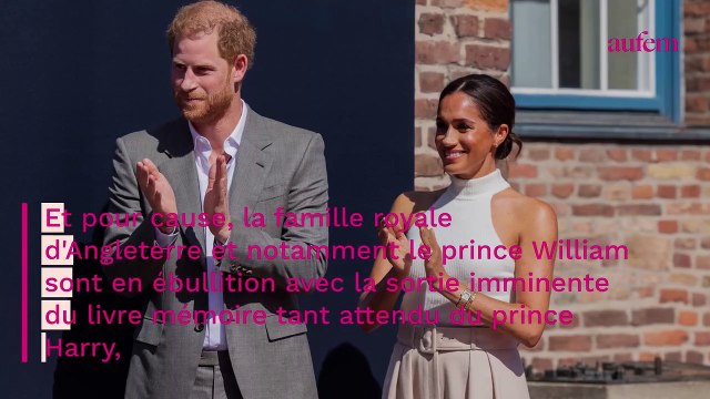 William consterné par le comportement de son frère Harry : nouvelles révélations sur leur relation