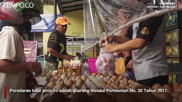 Ramai Telur Infertil, Ini Cara Pilih Telur yang Baik Menurut Ahli