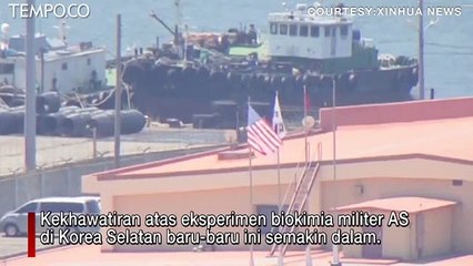 Kian Menakutkan Warga, Eksperimen Biokimia Militer AS di Korea Selatan