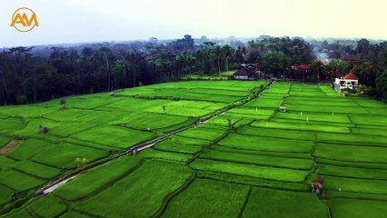 Thank you, God, for making such a lovely world.