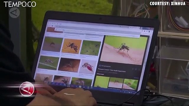 Bzigo, Gawai Cerdas Pembasmi Nyamuk, Ini Cara Kerjanya