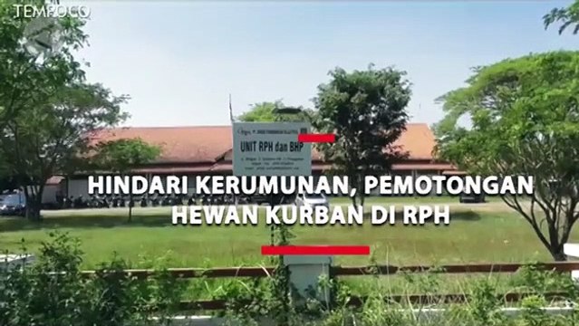 Hindari Penularan COVID-19, Pemotongan Hewan Kurban di RPH