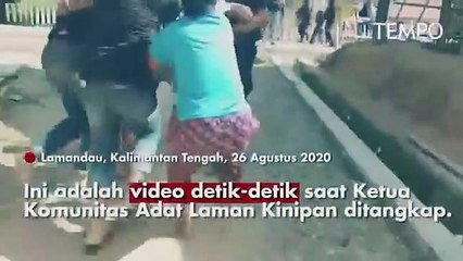 Tolak Sawit Warga Adat Ditangkap | INVESTIGASI