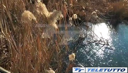 Video News - TPRBIERE RIPULITE DA 10 QUINTALI DI RIFIUTI