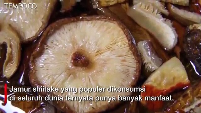 7 Manfaat Jamur Shiitake untuk Imunitas hinggga Cegah Obesitas