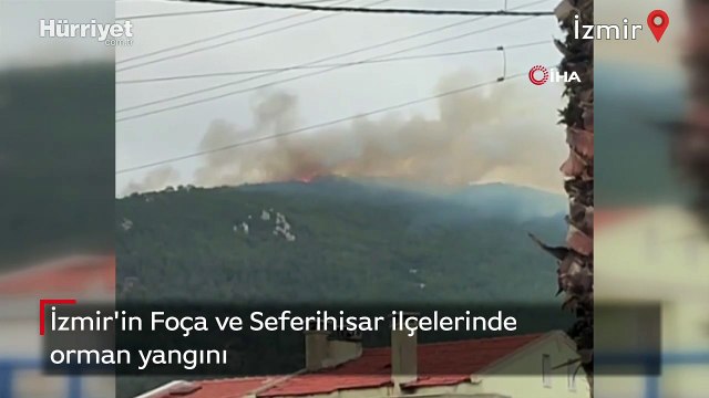 İzmir'in Foça ve Seferihisar ilçelerinde orman yangını