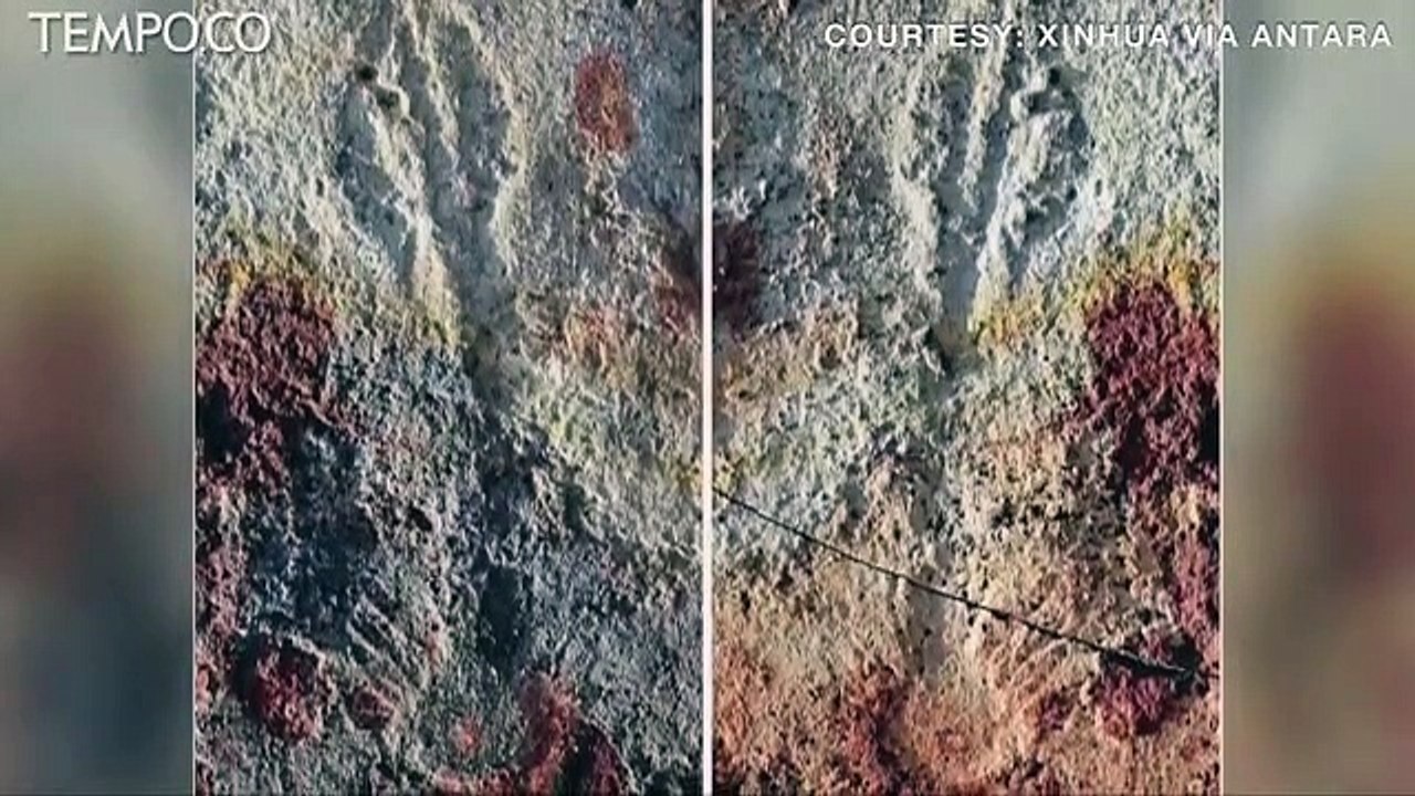 Arkeolog Temukan Fosil Berumur 550 Juta Tahun di Hulu Sungai Yangtze