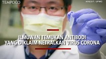 Ilmuwan Universitas Pittsburgh Temukan Antibodi untuk Menetralkan Virus Corona