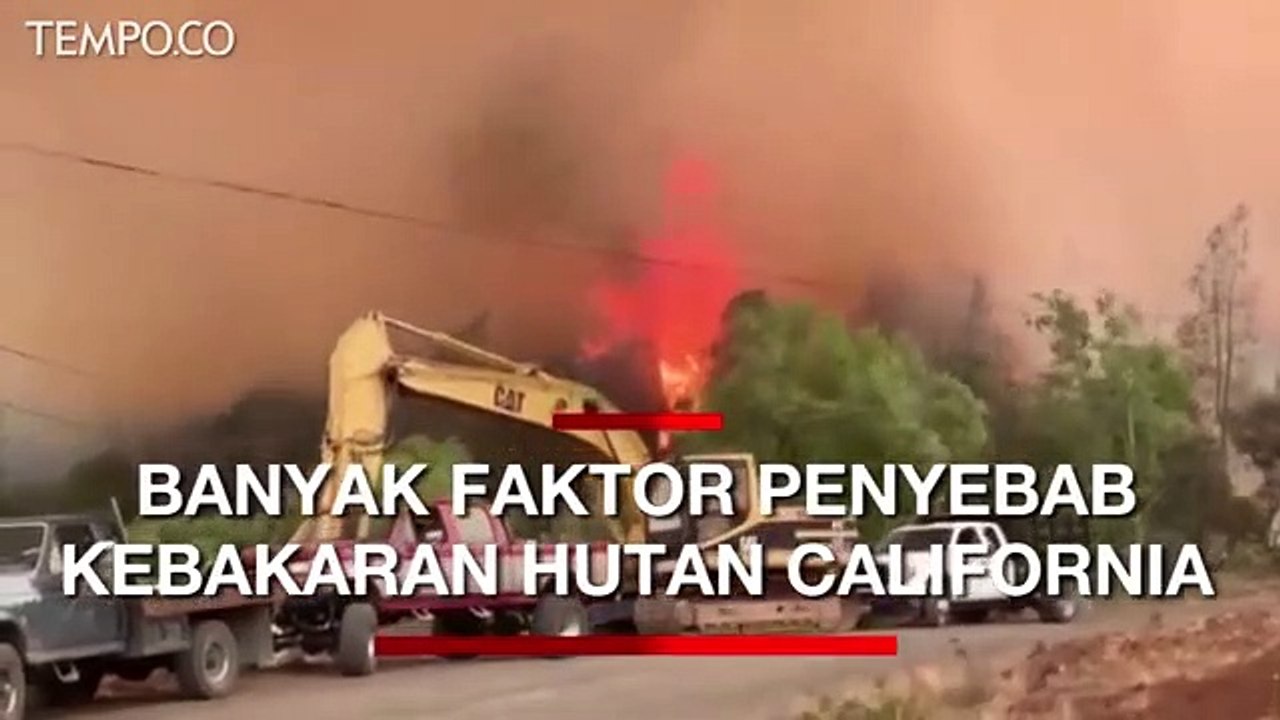 Ini Sejumlah Faktor Penyebab Kebakaran Hutan di California AS