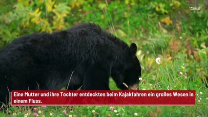 Bei Kajakfahrt entdecken Mutter und Tochter großes Lebewesen