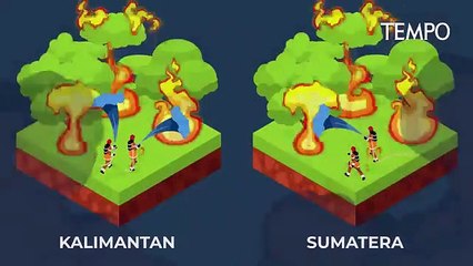 Mengapa Pembangunan Kanal di Gambut Memicu Bencana?