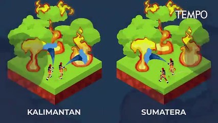 Mengapa Pembangunan Kanal di Gambut Memicu Bencana?