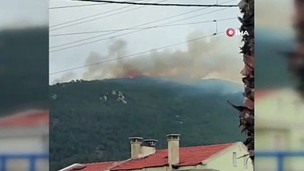 İzmir'de iki ilçede orman yangını