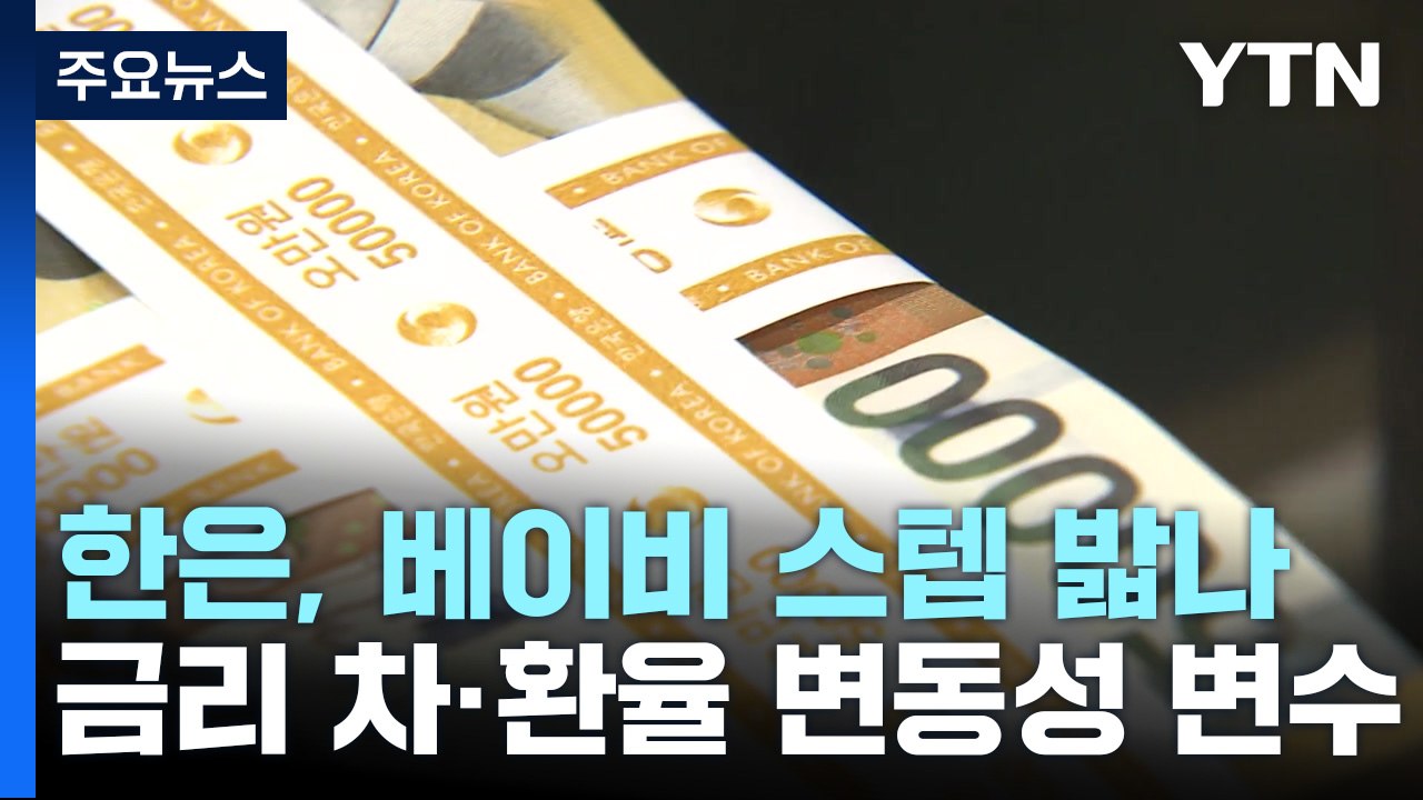 베이비 스텝 밟나...금리 차·환율 변동성 변수 / YTN
