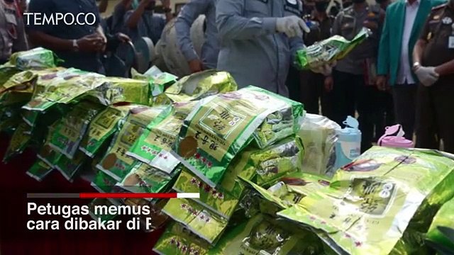 Polda Aceh Bakar Barang Bukti 372 Kg Ganja