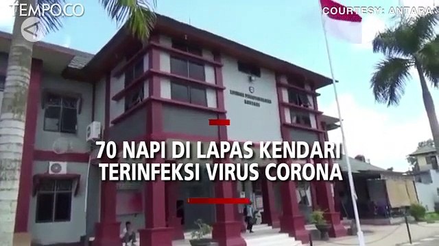 70 Narapidana di Lapas Kendari Terpapar Virus Corona Penyebab Covid-19