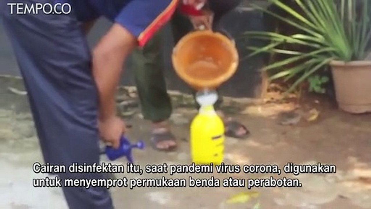 Kreasi Meracik Disinfektan Sendiri, Dokter Sheila Taly Salsabila Punya Cara