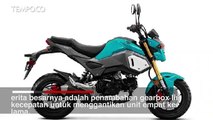 Motor Mini Honda Grom Punya Gaya dan Mesin Baru, Ini Detilnya