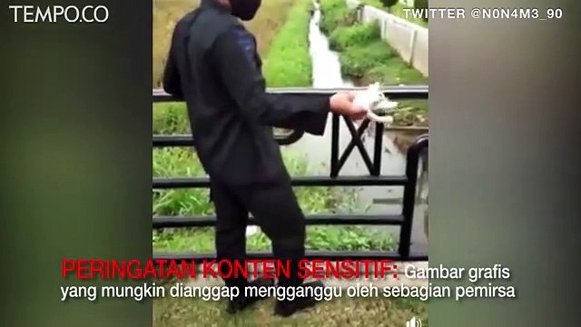 Video Viral Seorang Oknum Brimob Banting Anak Kucing ke Parit