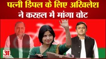 Mainpuri Byelection पर देश की नजर, karhal से Akhilesh ने Dimple के लिए शुरू किया प्रचार