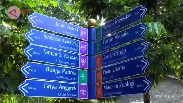 Jokowi: Pentingnya Berolahraga untuk Tingkatkan Imunitas