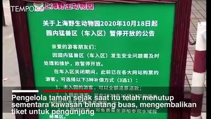 Seorang Penjaga Kebun Binatang Tewas Diserang Beruang di Depan Pengunjung