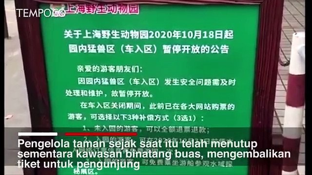 Seorang Penjaga Kebun Binatang Tewas Diserang Beruang di Depan Pengunjung