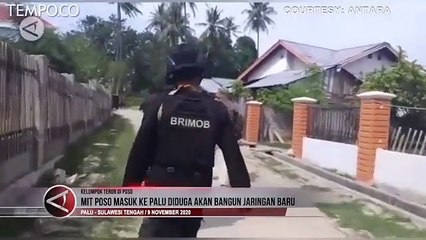 MIT Poso Masuk ke Palu Diduga Akan Bangun Jaringan Baru