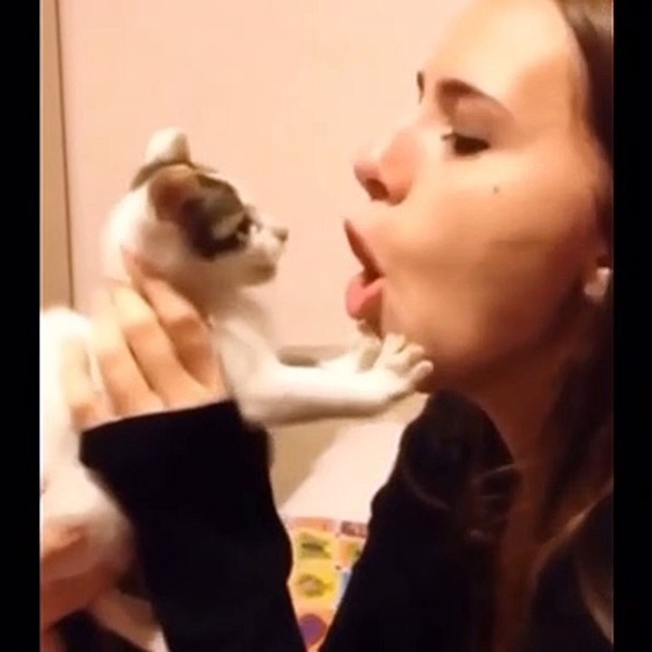 Surprising cat kiss