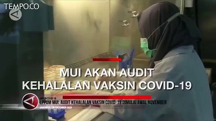 MUI Akan Audit Kehalalan Vaksin Covid-19 Mulai November