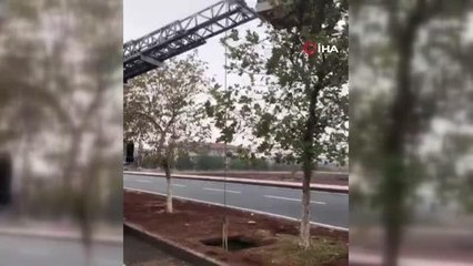 Şanlıurfa'da çukura düşen eşek böyle kurtarıldı