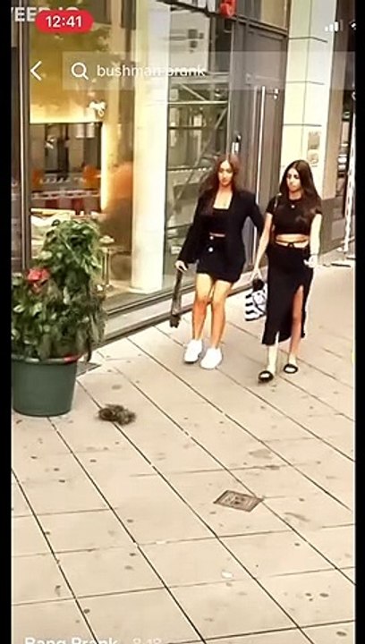joke with tree