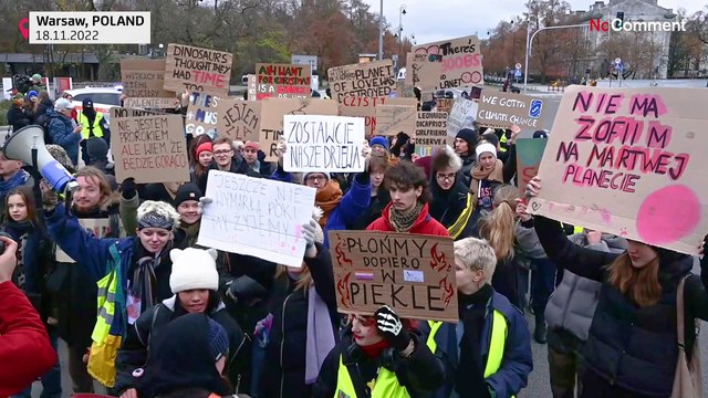 Jugendklima-Streiks in Polen: Hunderte junge Menschen protestieren in Warschau