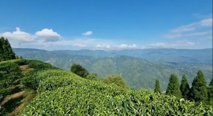 পর্যটকদের মন কাড়বে উত্তর সিকিমের তুষারপাত, আশা পর্যটন ব্যবসায়ীদের |OneIndia Bengali