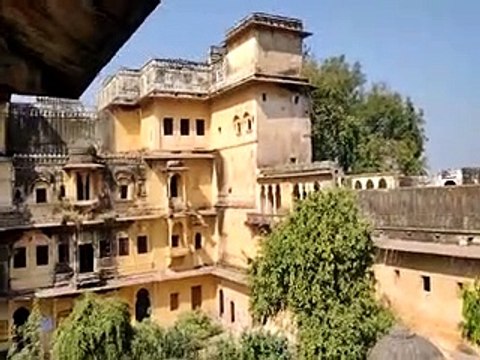 वन विभाग की टीमें पैंथर को तलाशने में जुटी, कैमरे व पिंजरे लगाए