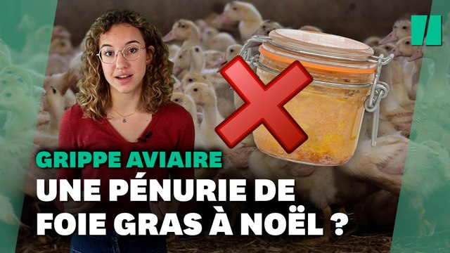 Le foie gras de Noël menacé par la grippe aviaire
