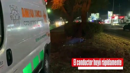 Un hombre en situación de calle murió atropellado sobre carretera a Chapala