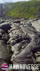 Trending Natural Viral Shorts 🌿