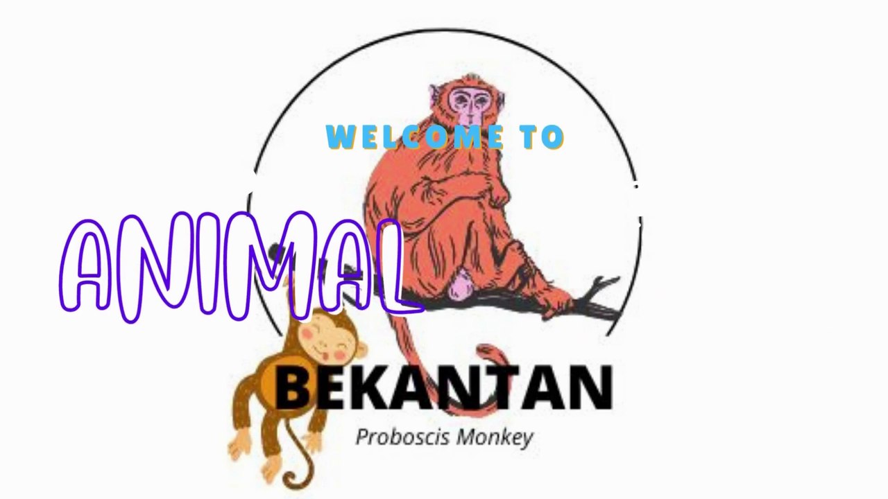 ANIMAL SOUND FOR KID TO LEARN  cows, chickens, birds, goats, dogs, cats, etc (Part 3)