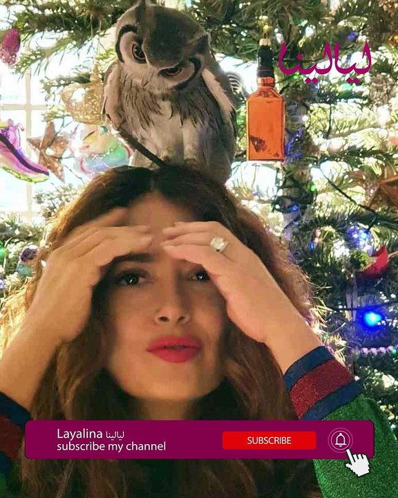 توب 10 المشاهير-مشاهير اقتنوا اغرب انواع الحيوانات