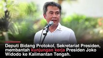 Jokowi Kunker ke Kalimantan, Istana Bantah Hindari Aksi Demonstrasi Omnibus Law