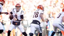 NFL Week 11 Preview: Bengals Vs. Steelers