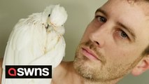 Cockatoo loves to bop along to the likes of Kate Bush, Vengaboys and even METALLICA