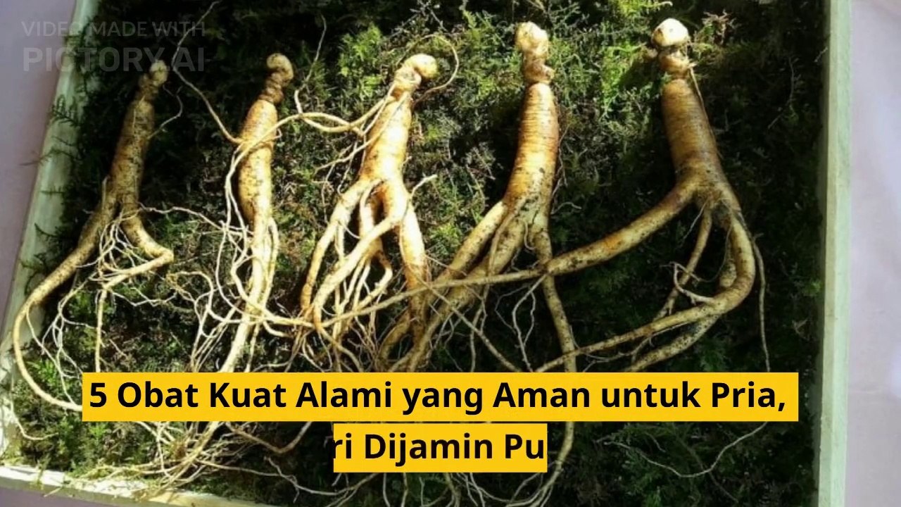 5 Obat Kuat Alami yang Aman untuk Pria, Istri Dijamin Puas!