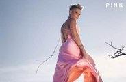 Pink has announced her ninth studio album 'TRUSTFALL'