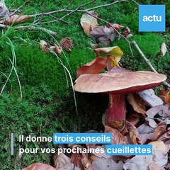 Adrien Chauvin, chef à Alençon, prend son pied à ramasser les champignons en forêt