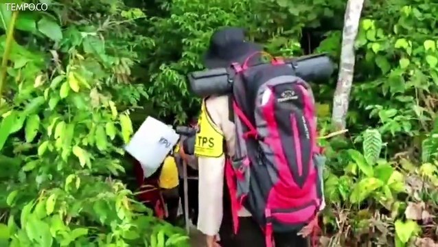 Perjuangan Mengantarkan Hasil Pilkada di Pegunungan Meratus